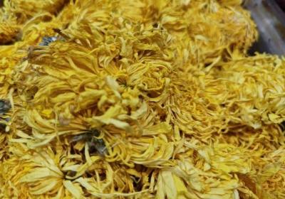 金盏花的功效与作用、禁忌和食用方法
