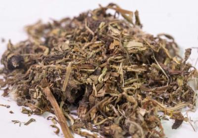 蒲公英的功效与作用、禁忌和食用方法