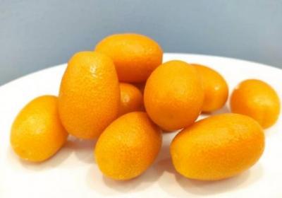 金桔的功效与作用、禁忌和食用方法