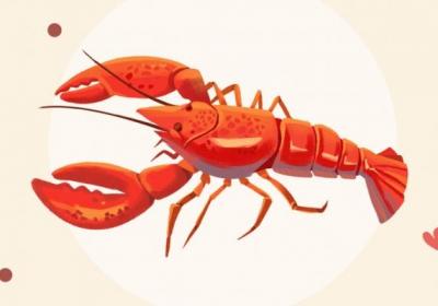 龙虾的功效与作用、禁忌和食用方法