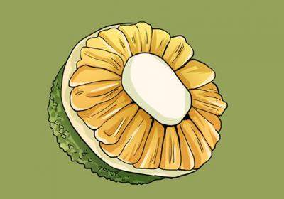 菠萝蜜的功效与作用、禁忌和食用方法