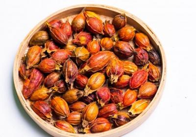 栀子的功效与作用、禁忌和食用方法