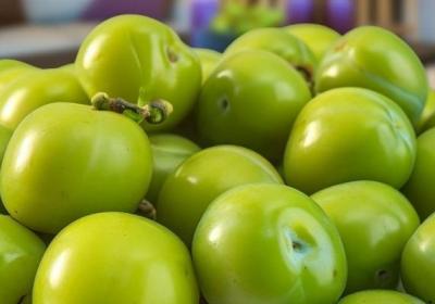 李子的功效与作用、禁忌和食用方法