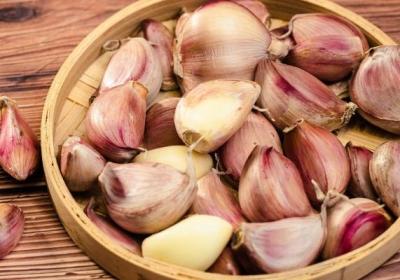 野蒜的功效与作用、禁忌和食用方法