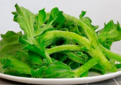 冰菜的功效与作用、禁忌和食用方法
