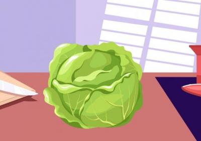 紫甘蓝的功效与作用、禁忌和食用方法