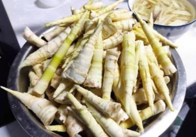 苦笋的功效与作用、禁忌和食用方法