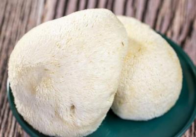 猴头菇的功效与作用、禁忌和食用方法