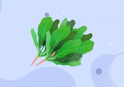 菠菜的功效与作用、禁忌和食用方法