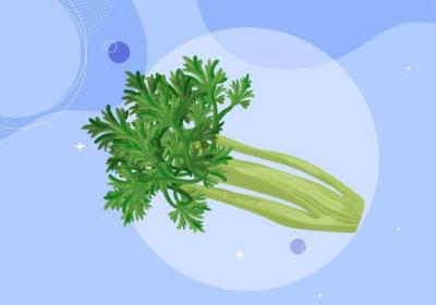 芹菜的功效与作用、禁忌和食用方法