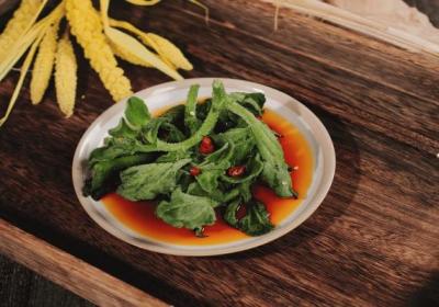 冰草的功效与作用、禁忌和食用方法