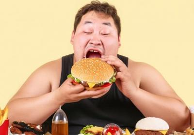 汉堡的功效与作用、禁忌和食用方法