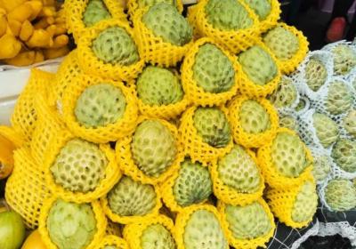 释迦果的功效与作用、禁忌和食用方法