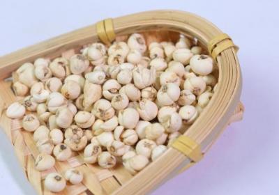 川贝的功效与作用、禁忌和食用方法