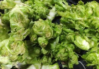 儿菜的功效与作用、禁忌和食用方法