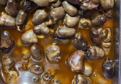 鸭心的功效与作用、禁忌和食用方法