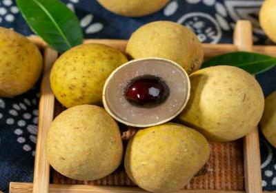 龙眼的功效与作用、禁忌和食用方法