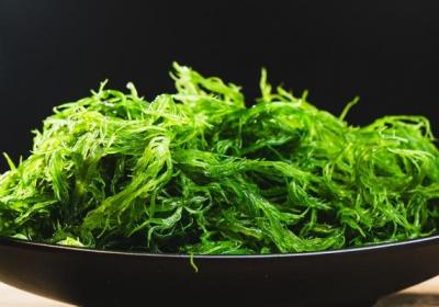 地皮菜的功效与作用、禁忌和食用方法