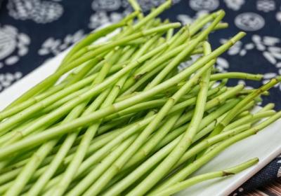 藜蒿的功效与作用、禁忌和食用方法