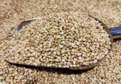 荞麦茶的功效与作用、禁忌和食用方法