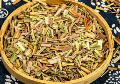 香草的功效与作用、禁忌和食用方法