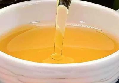 山茶油的功效与作用、禁忌和食用方法