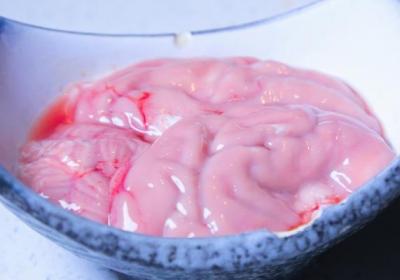 猪脑的功效与作用、禁忌和食用方法