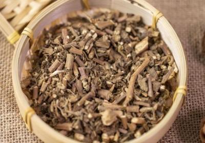 碰碰香的功效与作用、禁忌和食用方法