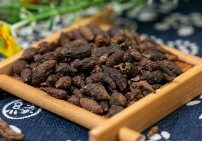 香附子的功效与作用、禁忌和食用方法