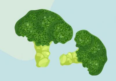 西兰花的功效与作用、禁忌和食用方法