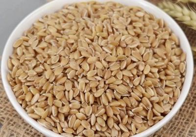 麸皮的功效与作用、禁忌和食用方法