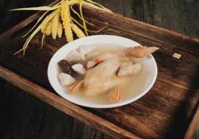 鸽子汤的功效与作用、禁忌和食用方法