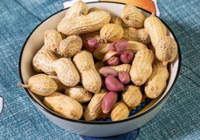 黑花生的功效与作用、禁忌和食用方法