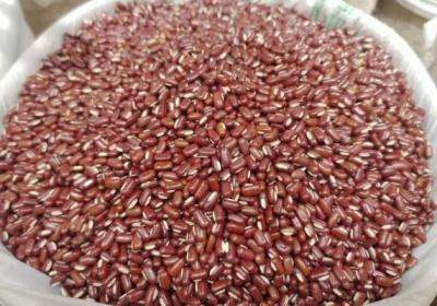 赤小豆汤的功效与作用、禁忌和食用方法