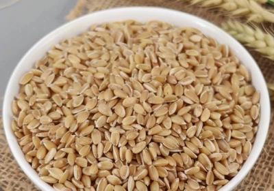 麦仁的功效与作用、禁忌和食用方法