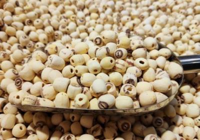 莲米的功效与作用、禁忌和食用方法