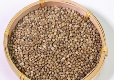 火麻油的功效与作用、禁忌和食用方法
