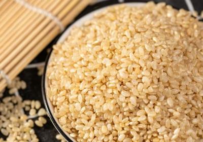 糙米的功效与作用、禁忌和食用方法