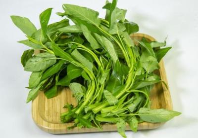 竹叶菜的功效与作用、禁忌和食用方法