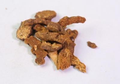 炒枳壳的功效与作用、禁忌和食用方法