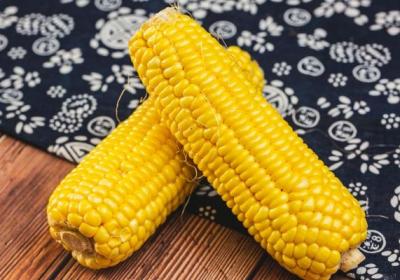 玉米渣的功效与作用、禁忌和食用方法