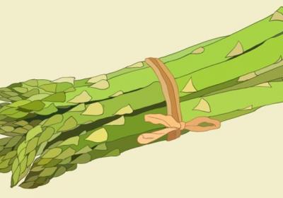 芦笋的功效与作用、禁忌和食用方法