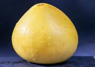 柚子皮的功效与作用、禁忌和食用方法