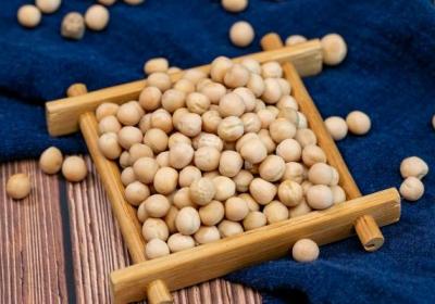 野黄豆的功效与作用、禁忌和食用方法
