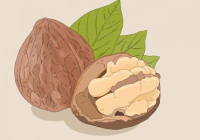 核桃露的功效与作用、禁忌和食用方法
