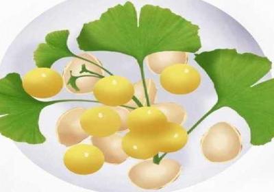 杏子的功效与作用、禁忌和食用方法