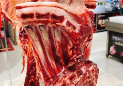 羊肉和红薯可以一起吃吗