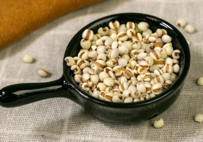 生薏苡仁的功效与作用、禁忌和食用方法
