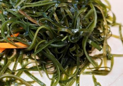 海白菜不能和什么食物一起吃