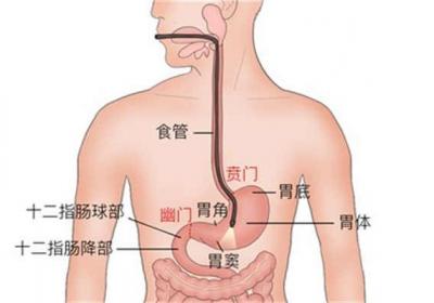 5种人不能吃无花果